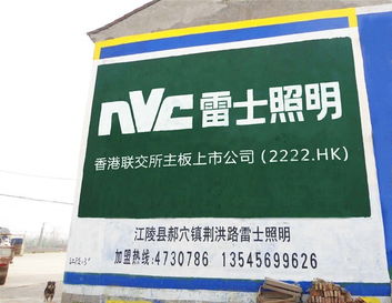 荆州家电 建材 医疗 通讯墙体广告制作,荆州最专业的墙体广告公司