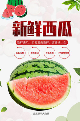 西瓜广告海报